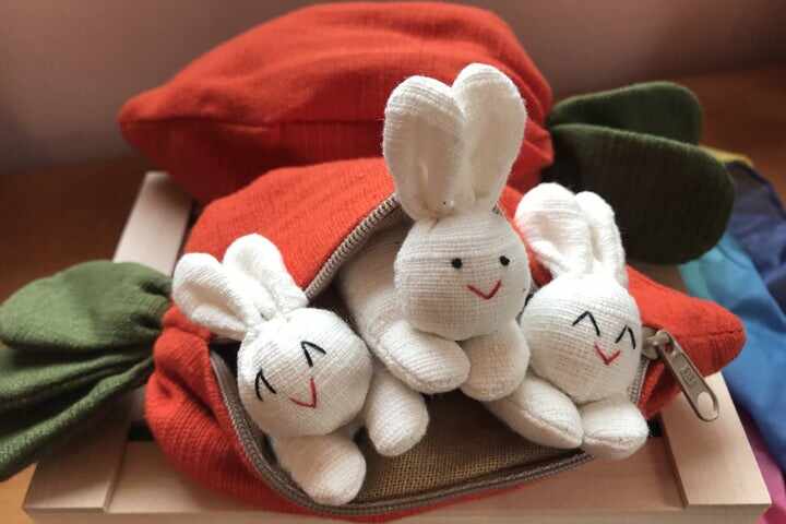 Hide-and-Seek Bunnies in Carrot Pouch