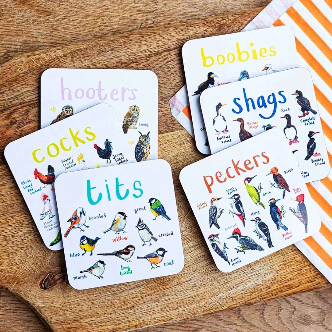 Last Day 70% OFFSet of 6 Bird Pun Coasters