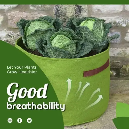 🔥Spring Promotion 48% OFF - Fabric Vegetable Plant Growth Bag (BUY 5 GET 40% OFF)