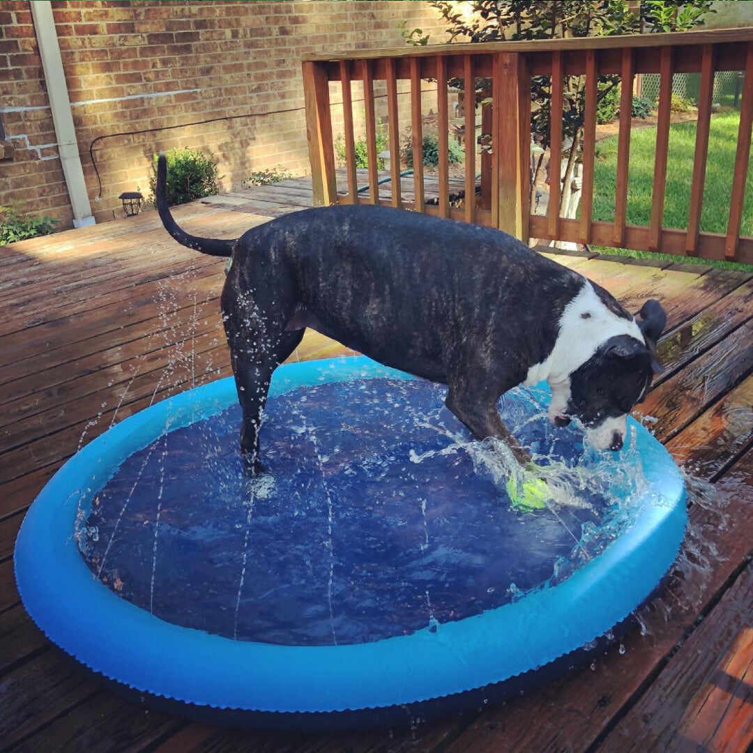 Doggo Splash Pad