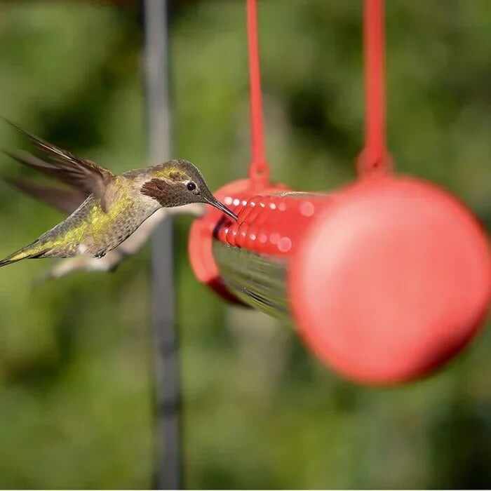 LAST DAY 49% OFF-Flower bar hummingbird feeder