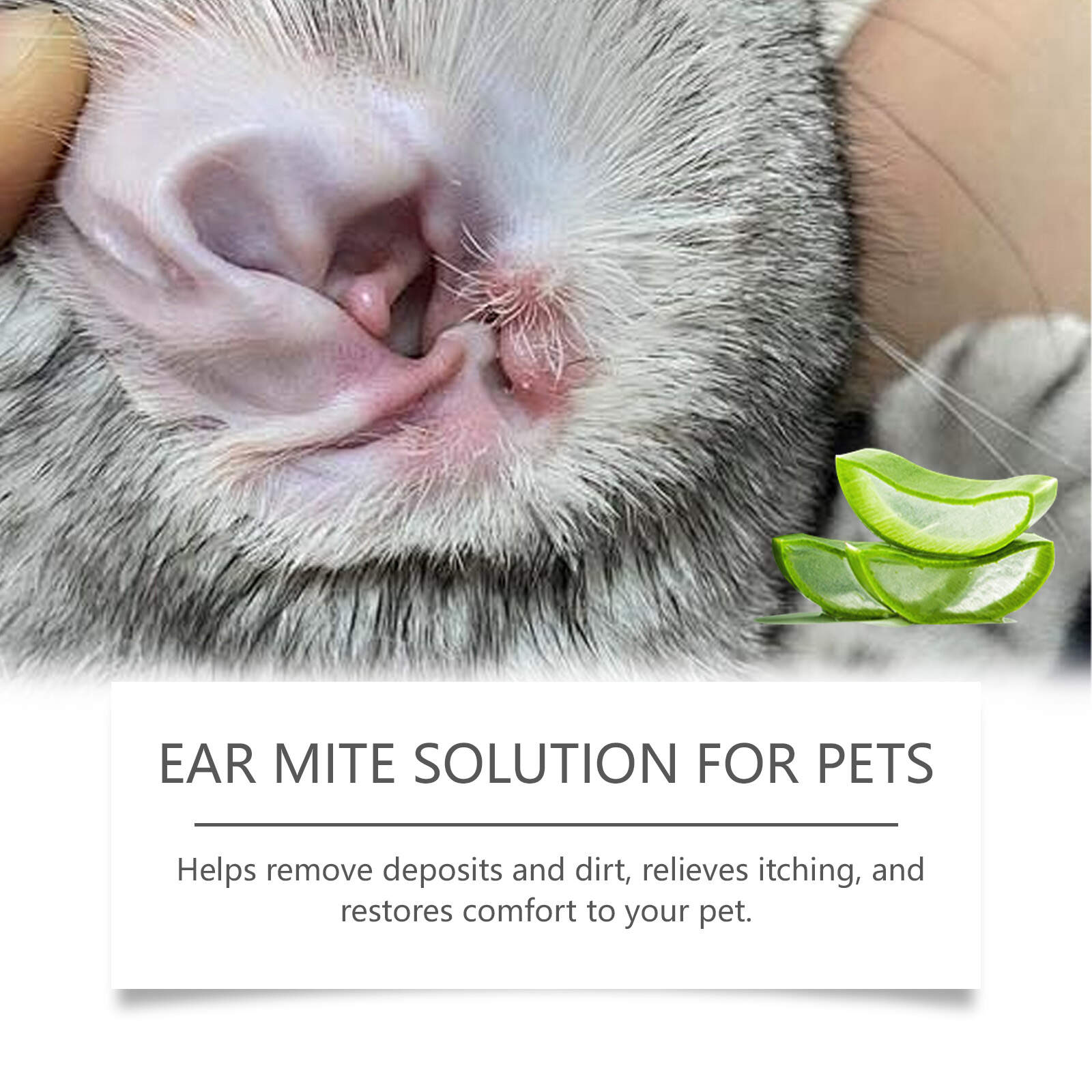 Ear Mite Solution For Pets