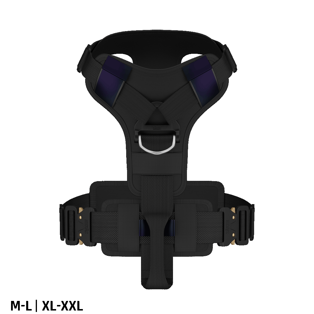 Ascension Core Harness - Black