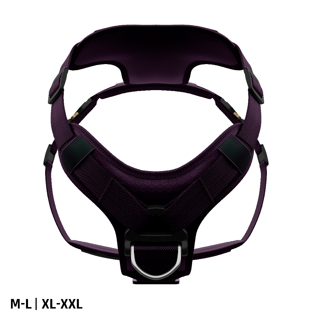 Ascension Core Harness - Prairies Purple