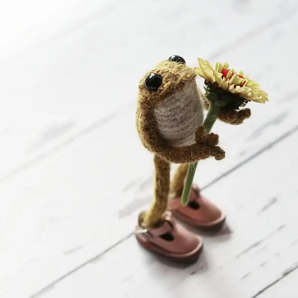 Last Day 49% OFF - Hand-Crochet Frog DIY Kit