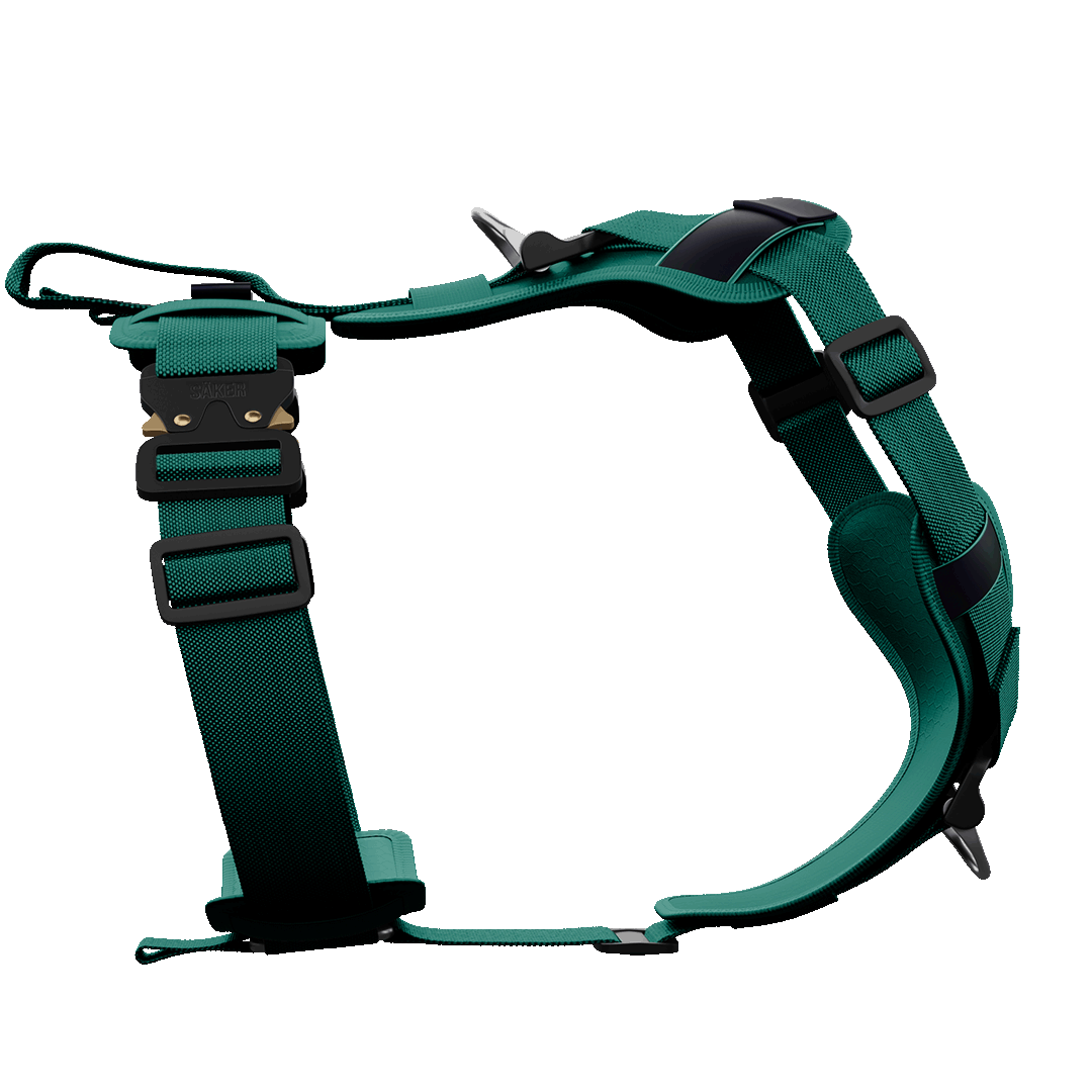 Ascension Core Harness - Tazer Teal