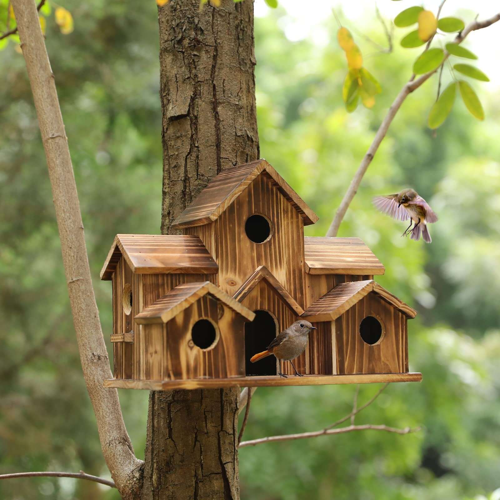 Last Day 50% OFF6 Hole Handmade Natural Bird House for Backyard/Courtyard/Patio Decor