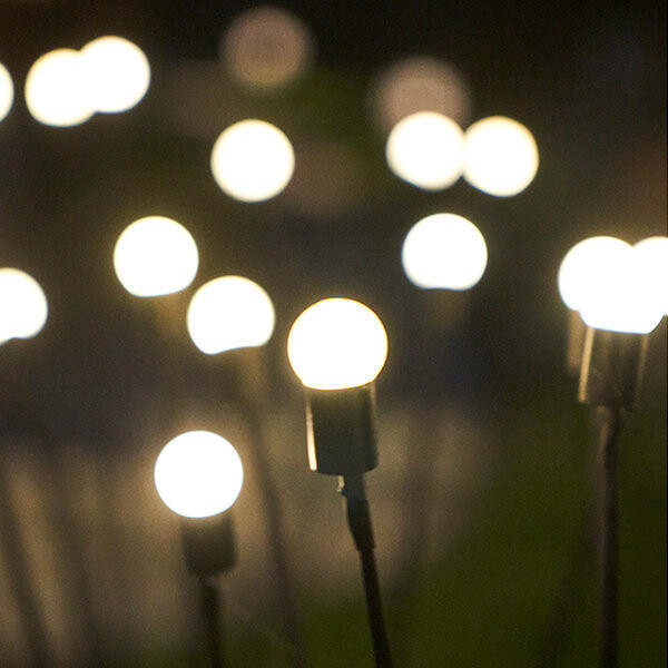 Firefly Garden Lights