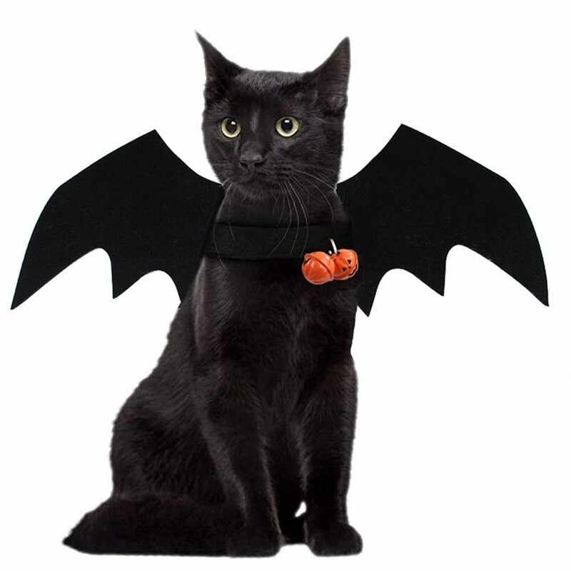 Cat Halloween Costume Bat Wings