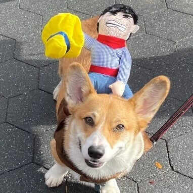 Cowboy Dog Costume