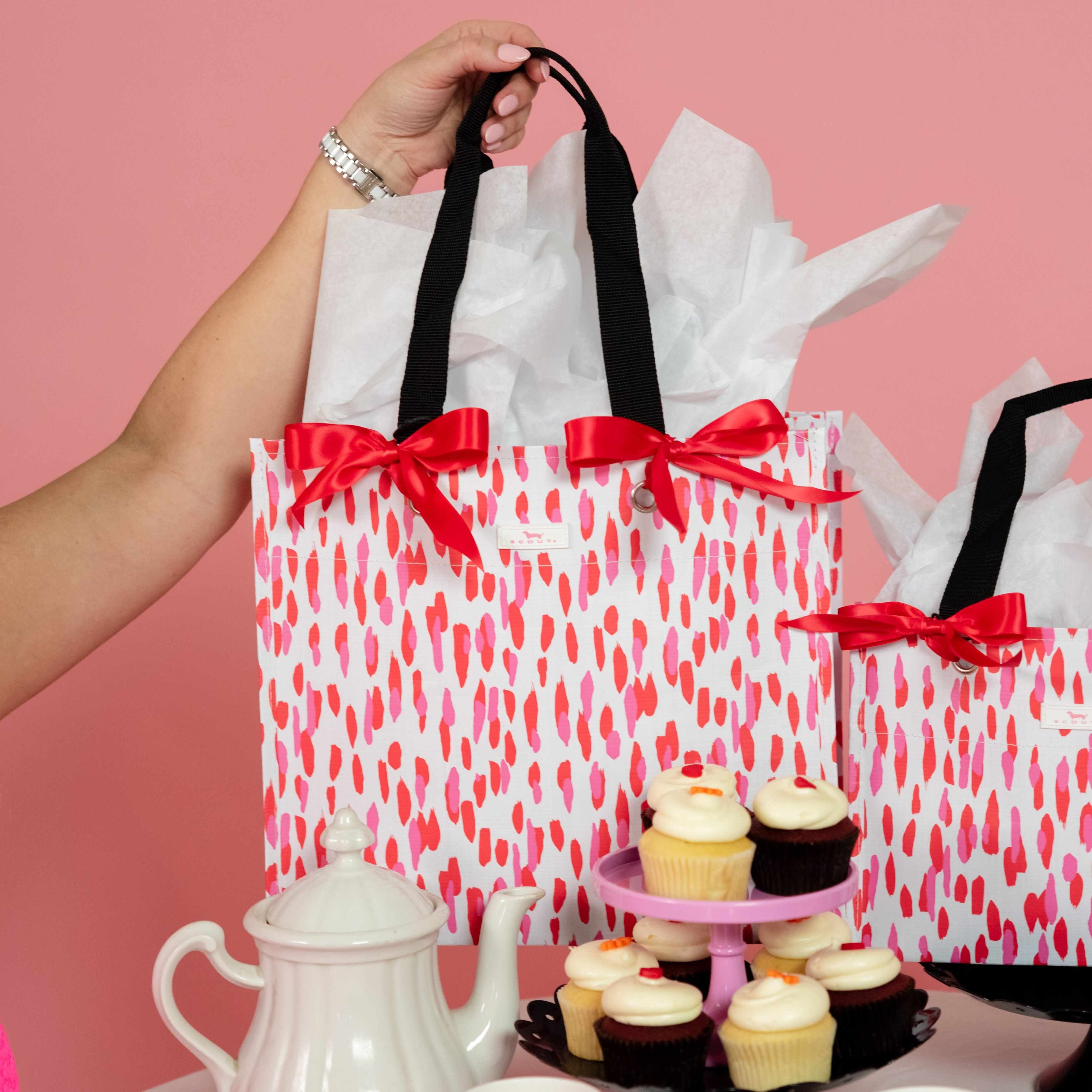 Large Package Gift Bag