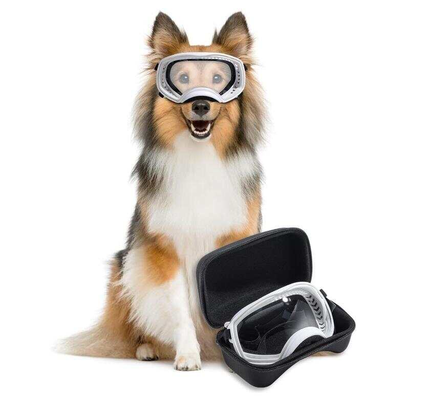 Large UV dog sunglasses in dog goggles, UV protection against wind and dust, detachable lenses for outdoor sports dog eye protection