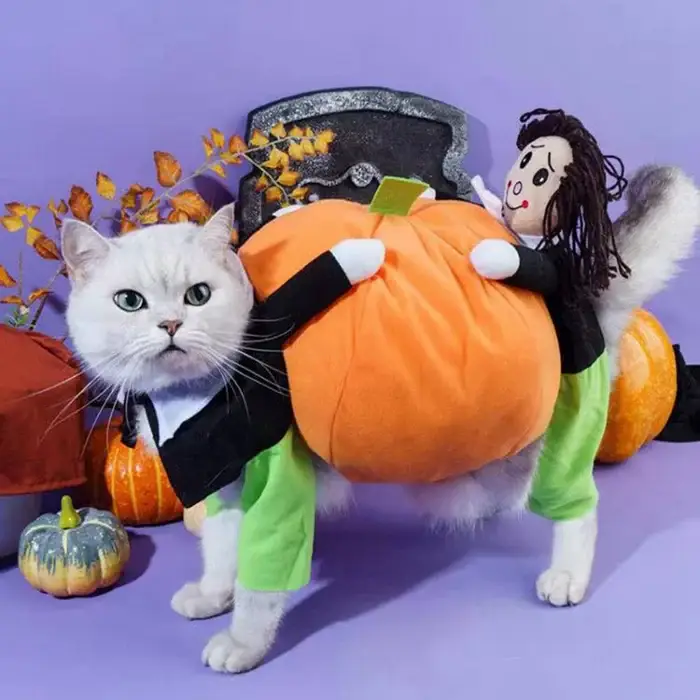 🎃Halloween Special 49% OFF🎃Dog & Cat Pumpkin Halloween Costume(BUY 2 GET FREE SHIPPING）