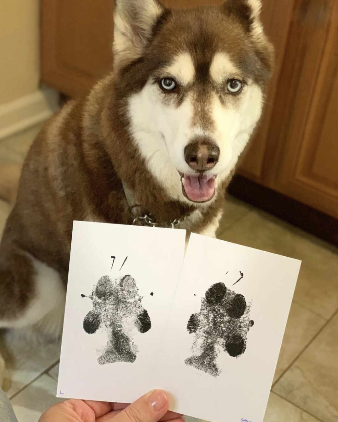 XL Everlasting Paw Print Pad