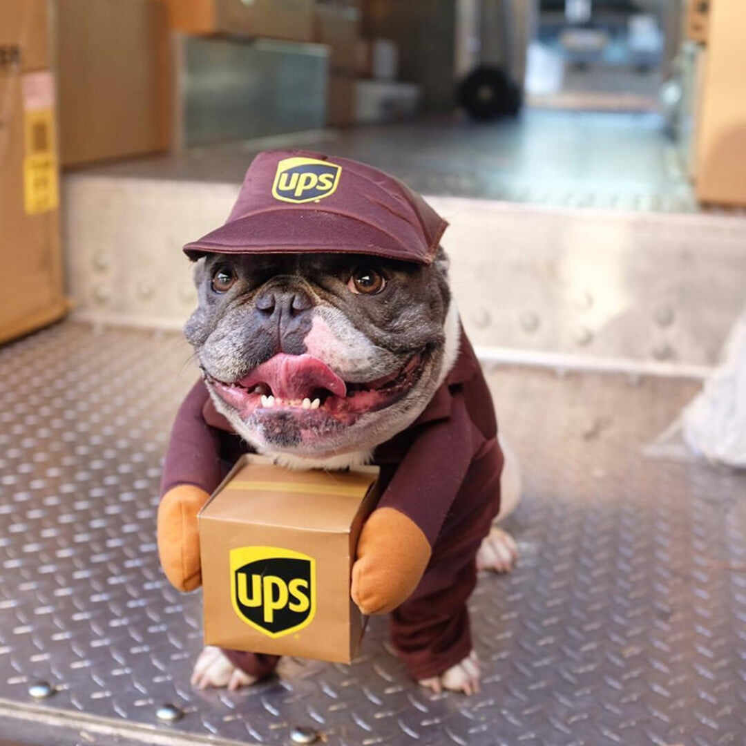 UPS Dog Costume