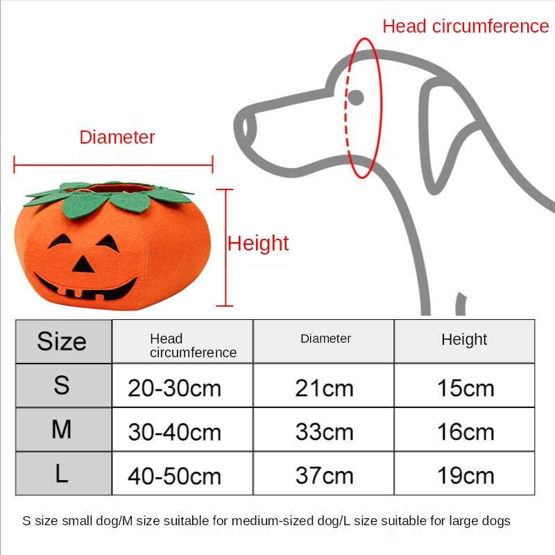 Pet  Collar  Halloween