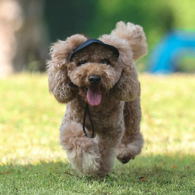 Outdoor Doggo Cap