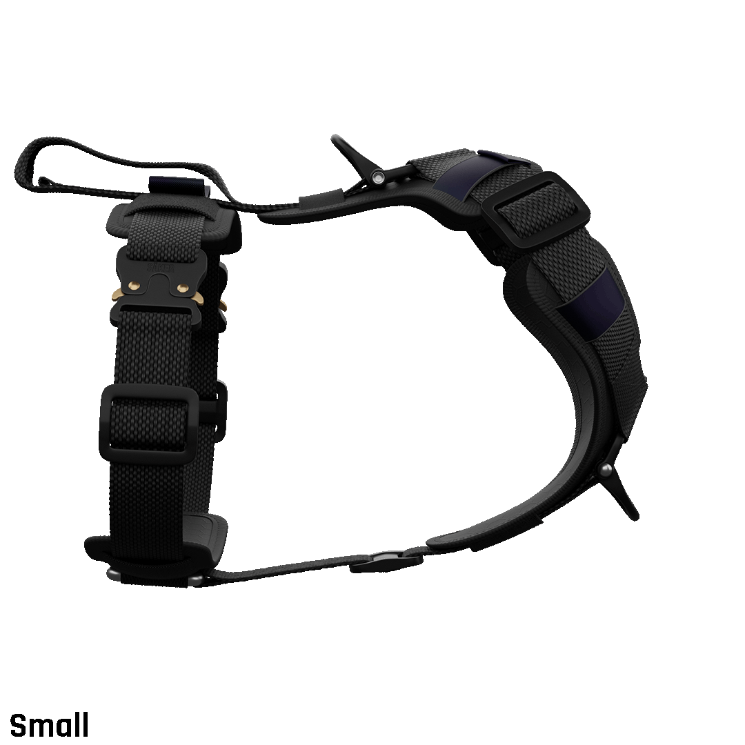 Ascension Core Harness - Black