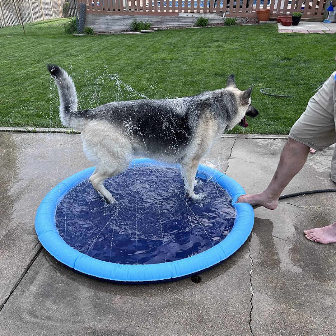 Doggo Splash Pad