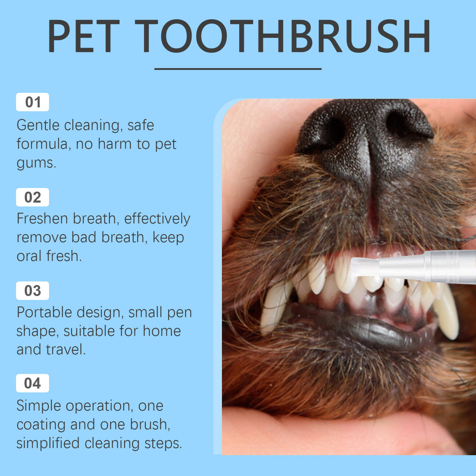 Pet Toothbrush