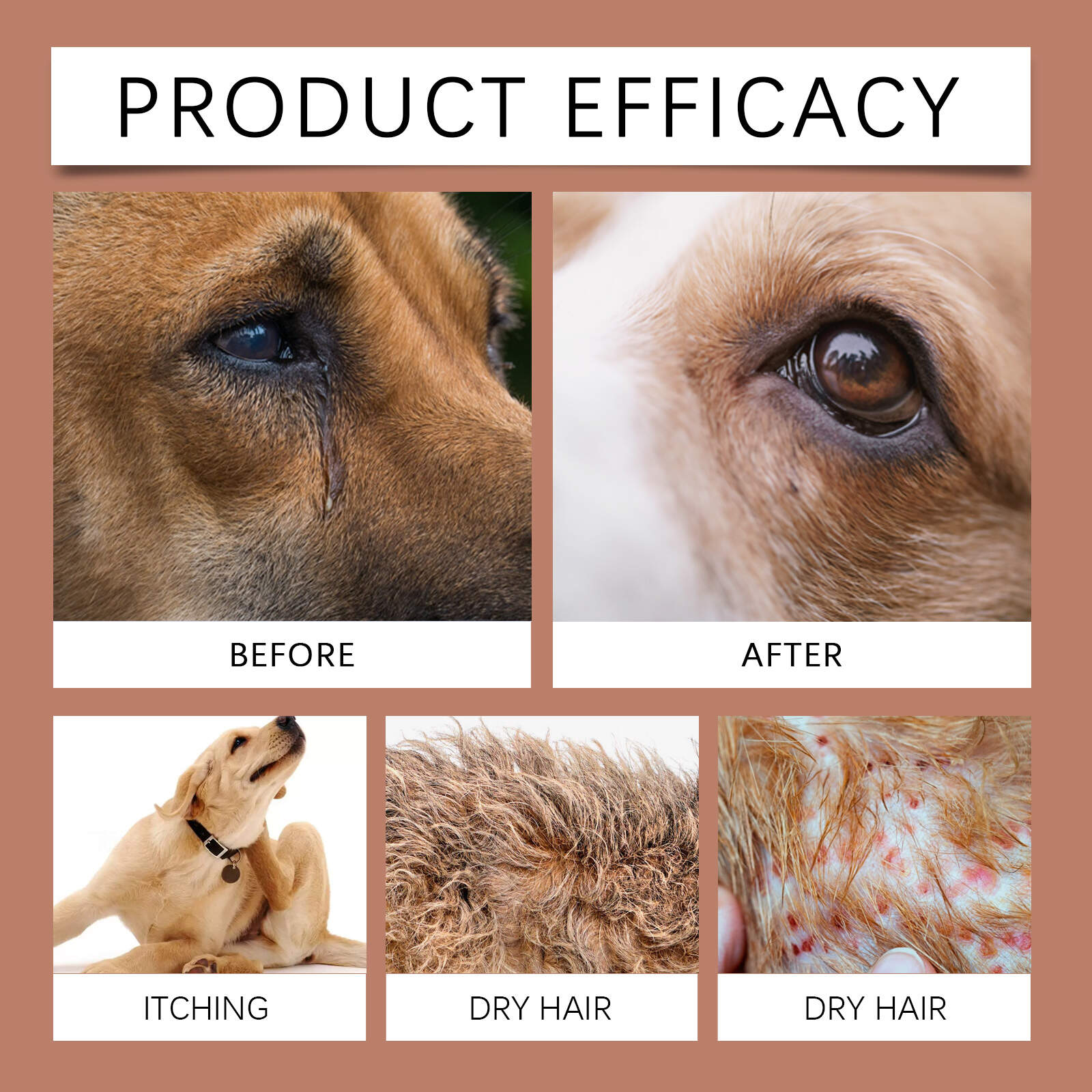 Hypoallergenic Shampoo For Dogs