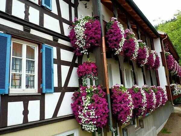 Vivid Artificial Hanging Orchid Bunch(Free shipping on orders over $39.99)